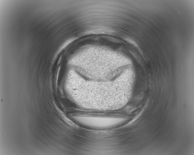 X0000065981114200603311857