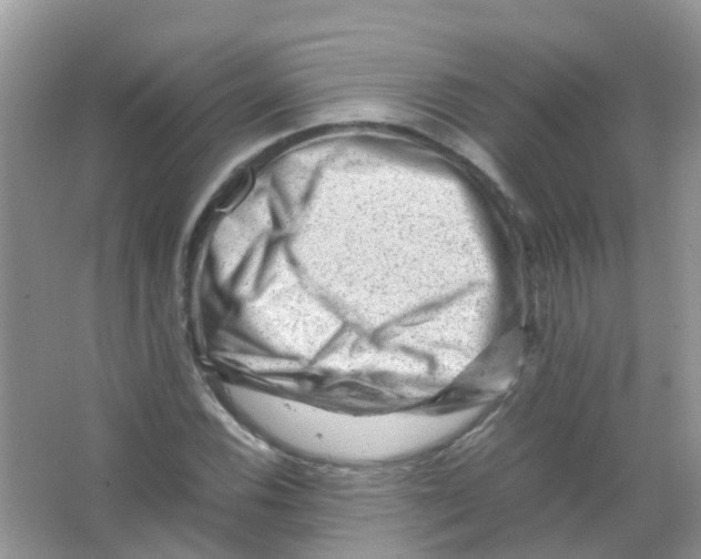 X0000065981116200603311857