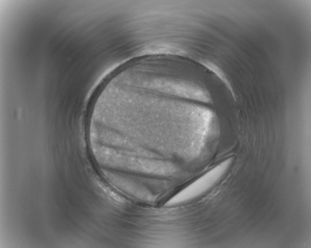 X0000065981120200603311857