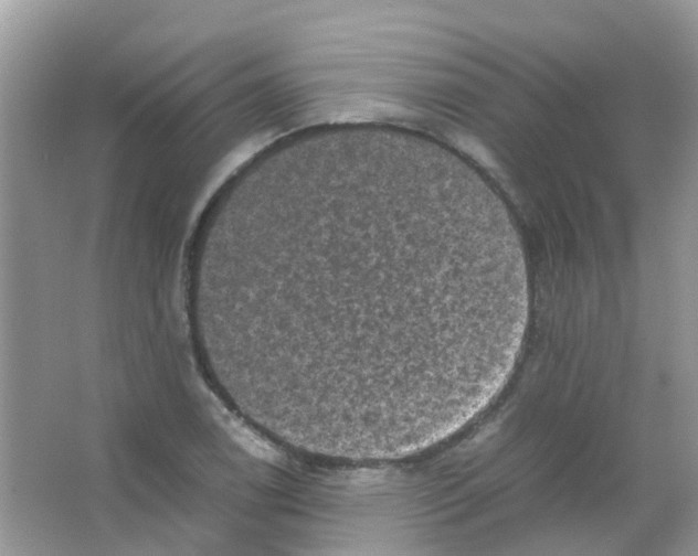 X0000065981122200603311857