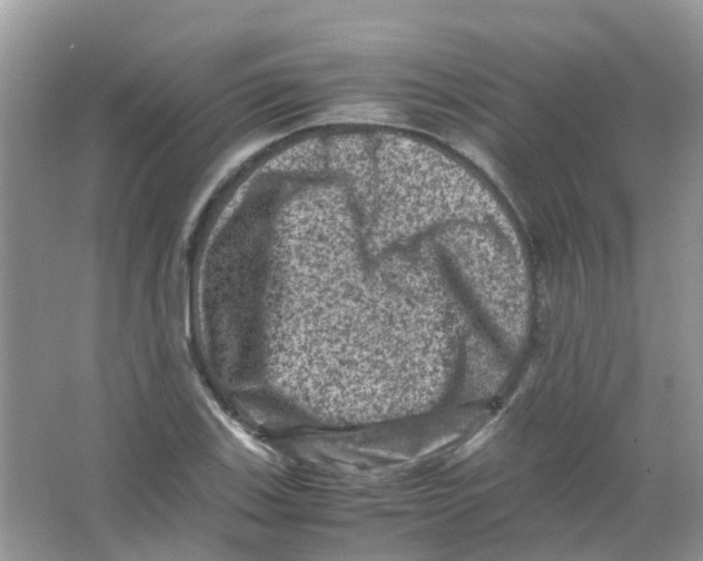 X0000065981123200603311857