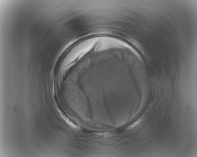 X0000065981127200603311858