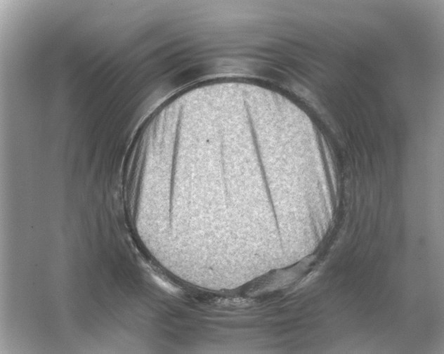 X0000065981129200603311858