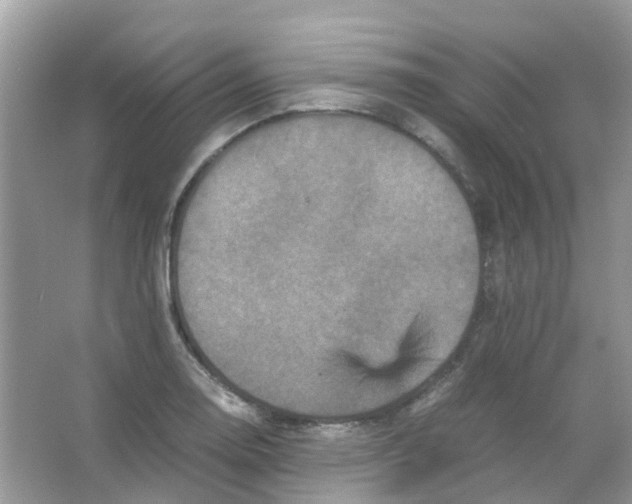 X0000065981130200603311858