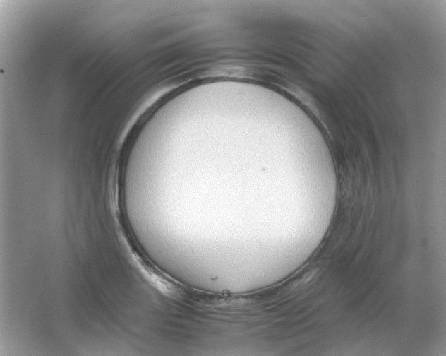 X0000065981131200603311858