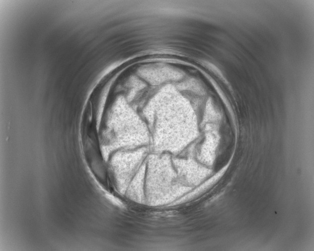 X0000065981133200603311858