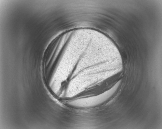 X0000065981134200603311858