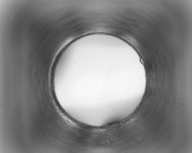 X0000065981135200603311858