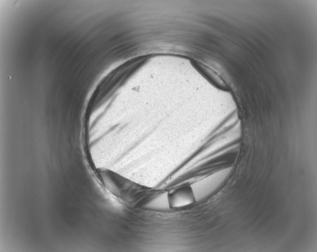 X0000065981136200603311858