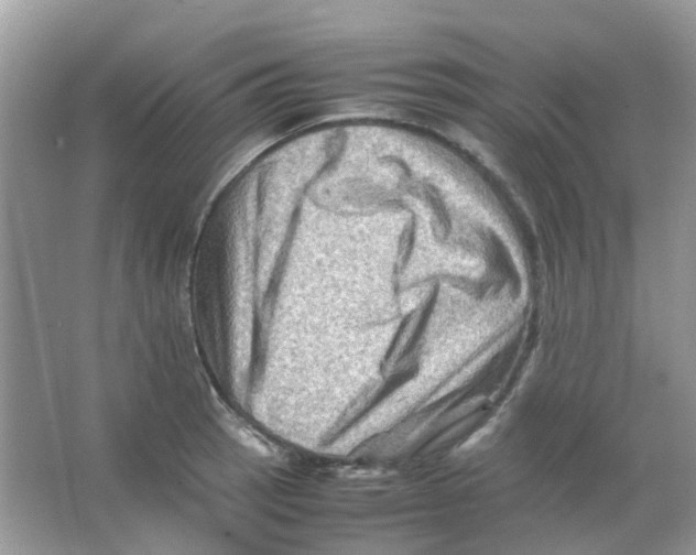 X0000065981137200603311858