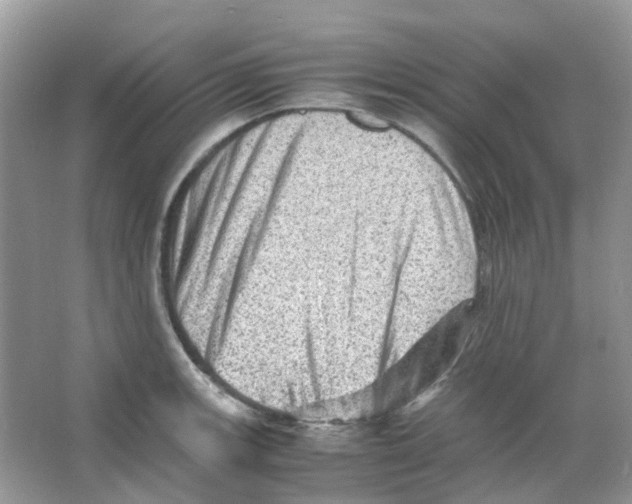 X0000065981139200603311858