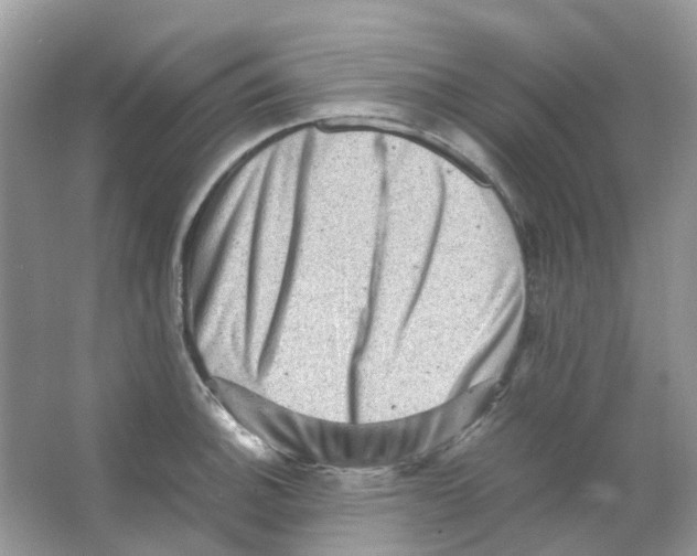 X0000065981140200603311858