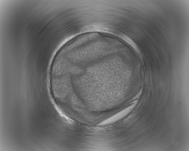 X0000065981144200603311858