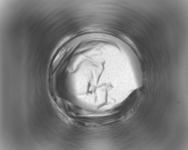 X0000065981146200603311858