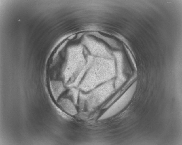 X0000065981147200603311858