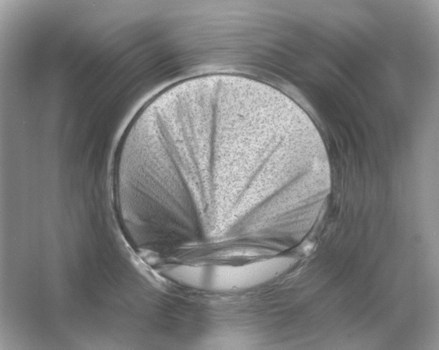 X0000065981148200603311858