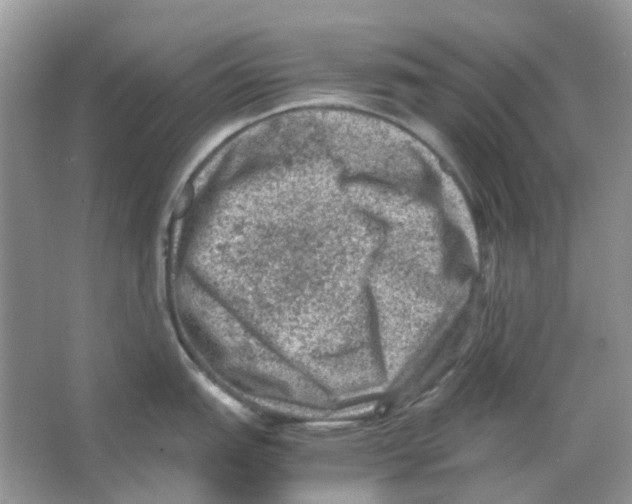 X0000065981151200603311858