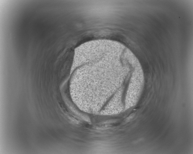 X0000065981153200603311857