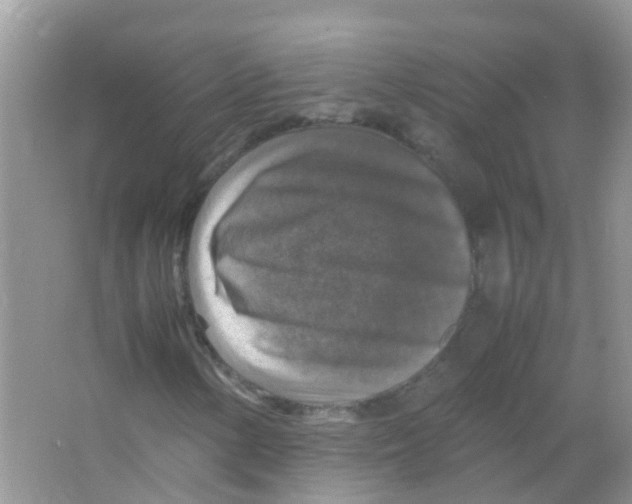 X0000065981154200603311857