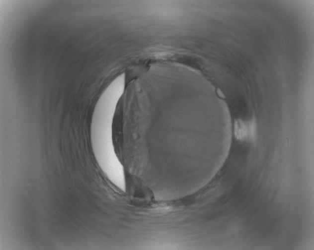 X0000065981155200603311857