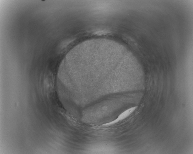 X0000065981158200603311857