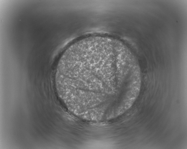 X0000065981159200603311857