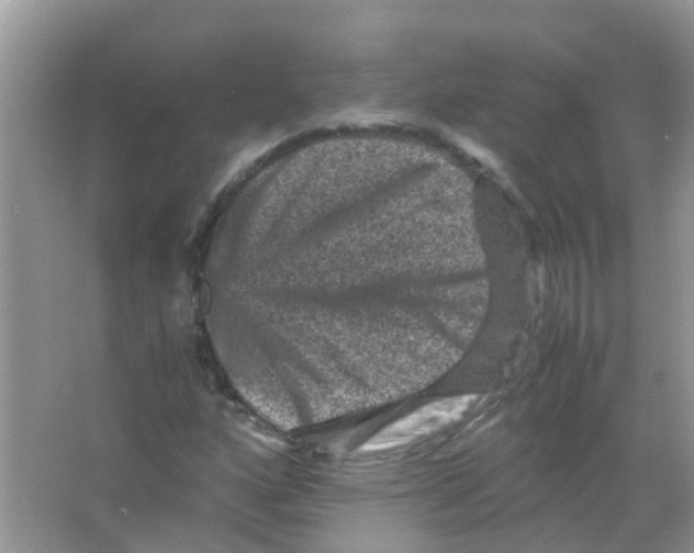 X0000065981160200603311857