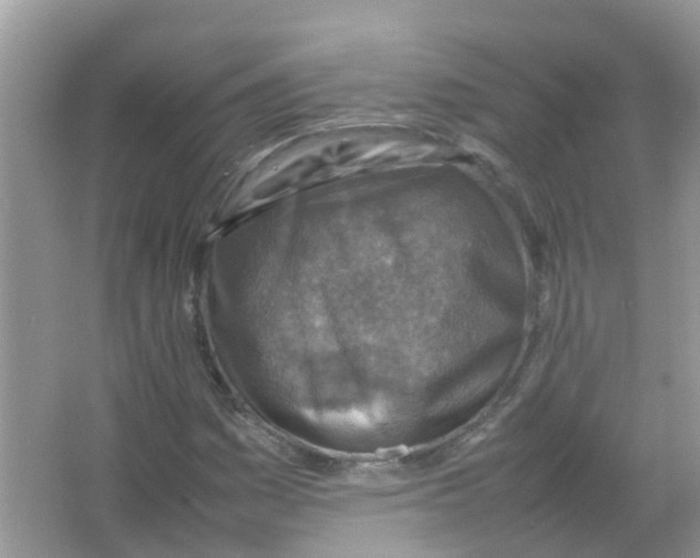 X0000065981161200603311857