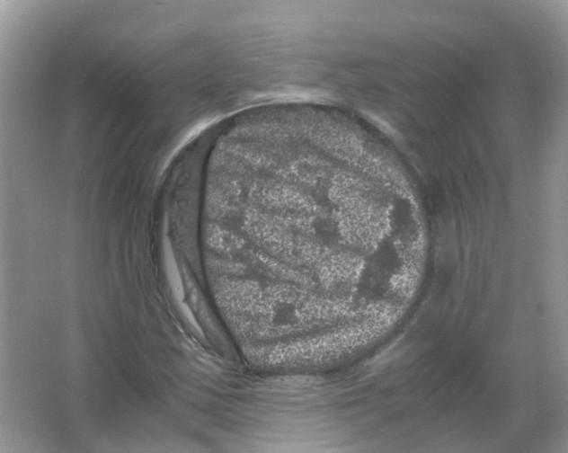 X0000065981163200603311857