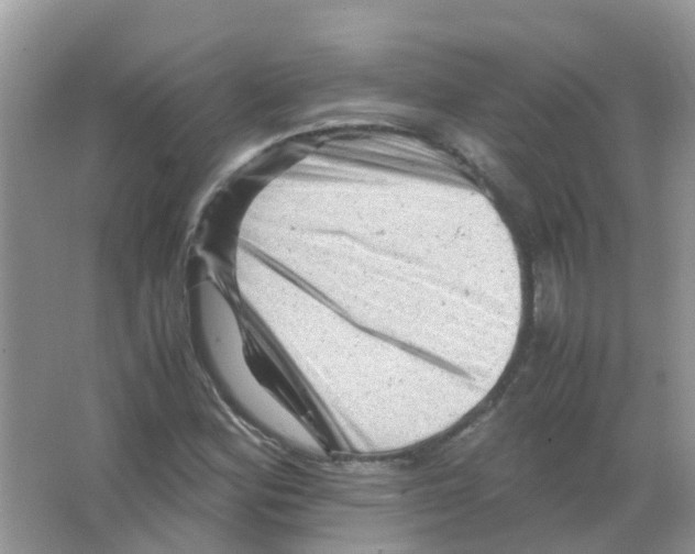 X0000065981164200603311857