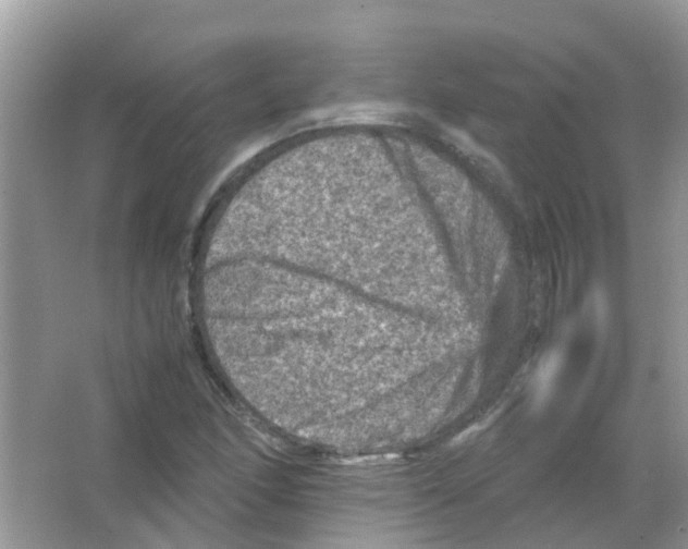 X0000065981166200603311857