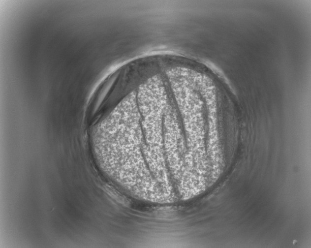 X0000065981167200603311857