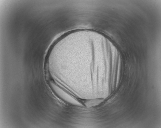 X0000065981168200603311857