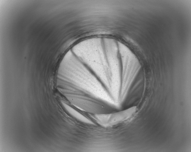 X0000065981169200603311857