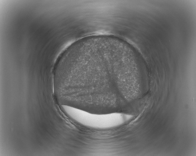 X0000065981171200603311857