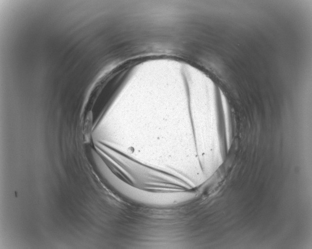 X0000065981172200603311857