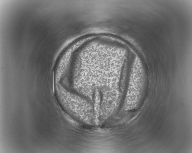 X0000065981175200603311857