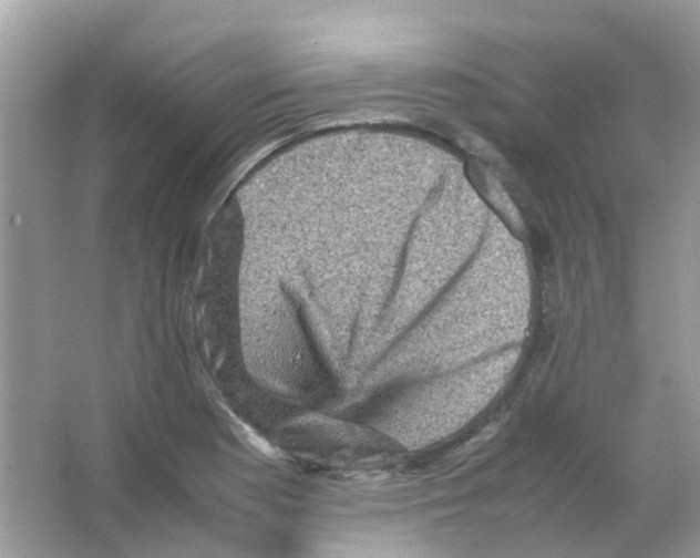 X0000065981177200603311857