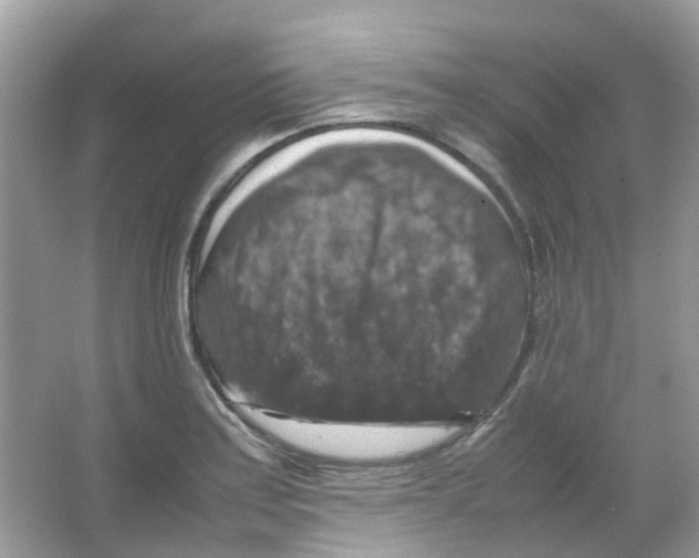 X0000065981179200603311857