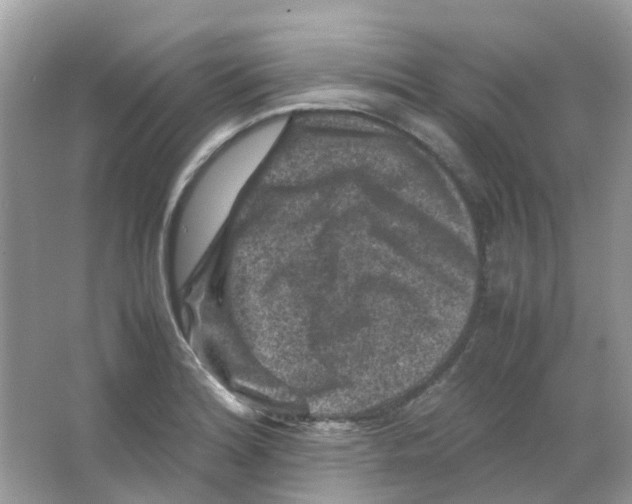 X0000065981180200603311857