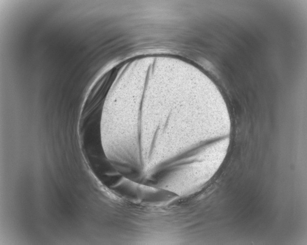 X0000065981181200603311857