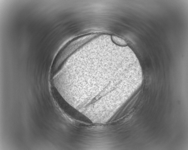 X0000065981182200603311857