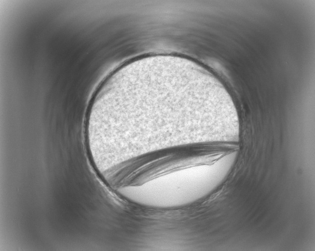 X0000065981183200603311857