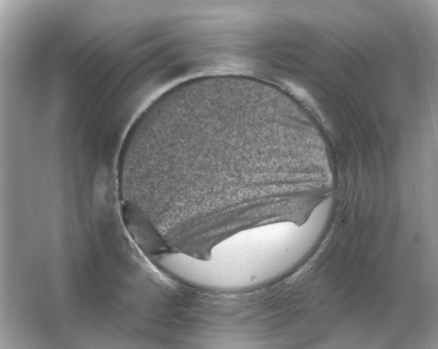 X0000065981184200603311857