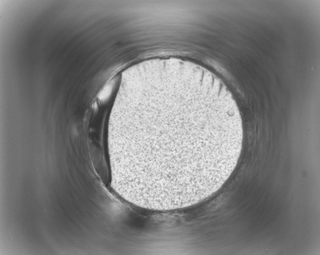 X0000065981185200603311857