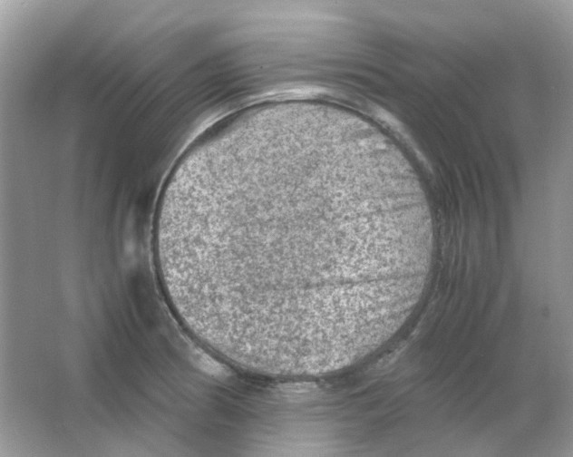 X0000065981186200603311857