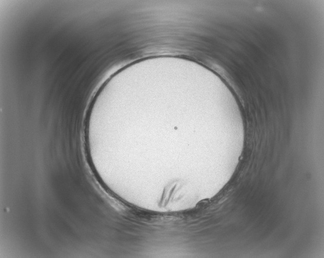 X0000065981187200603311857