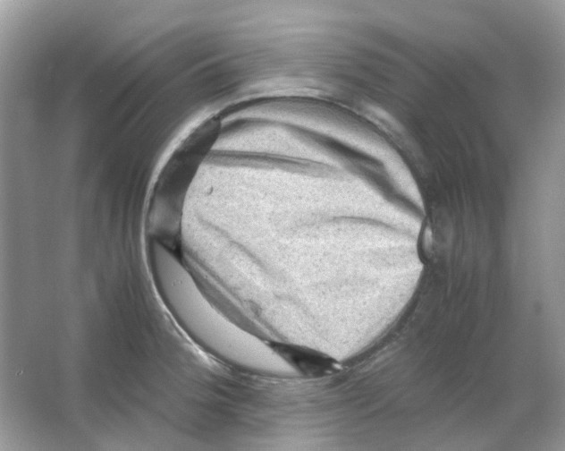 X0000065981188200603311857