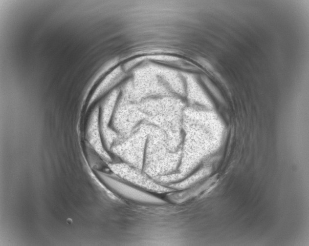 X0000065981189200603311857