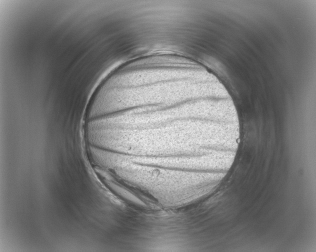 X0000065981190200603311856